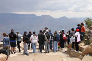 Grand Canyon Bus Tours Guide