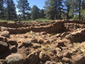 Elden Pueblo Ruins Archaeology Flagstaff - Nate Loper